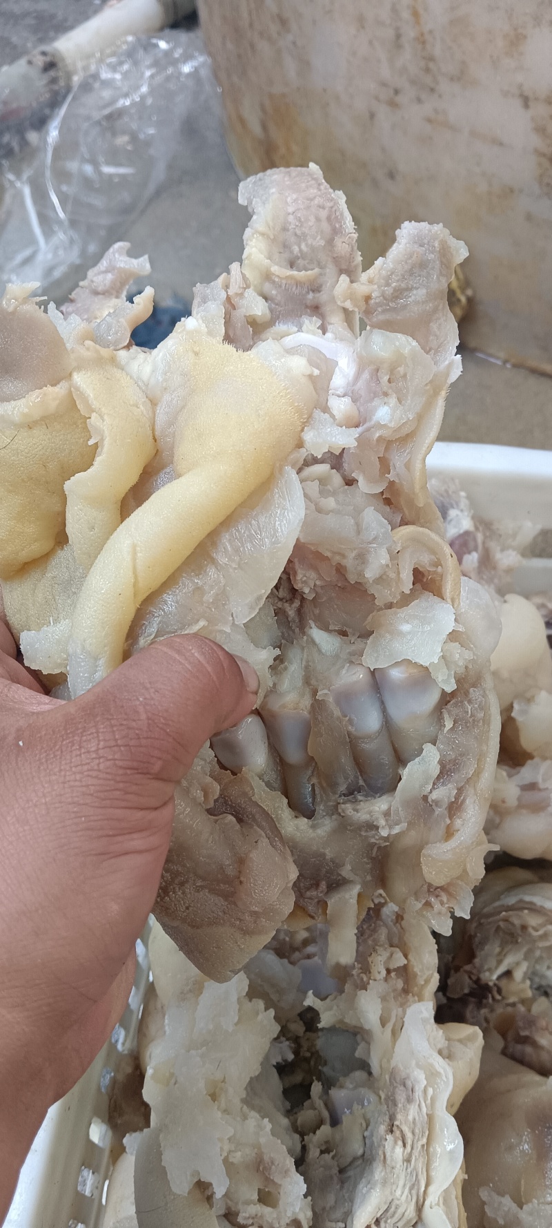 牛蹄筋，去骨带皮八成熟牛蹄筋，由于品相原因，现在碎筋价处