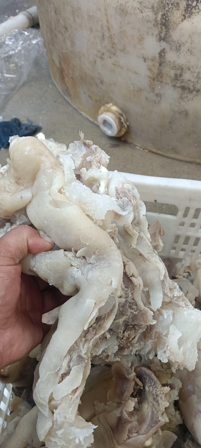 牛蹄筋，去骨带皮八成熟牛蹄筋，由于品相原因，现在碎筋价处