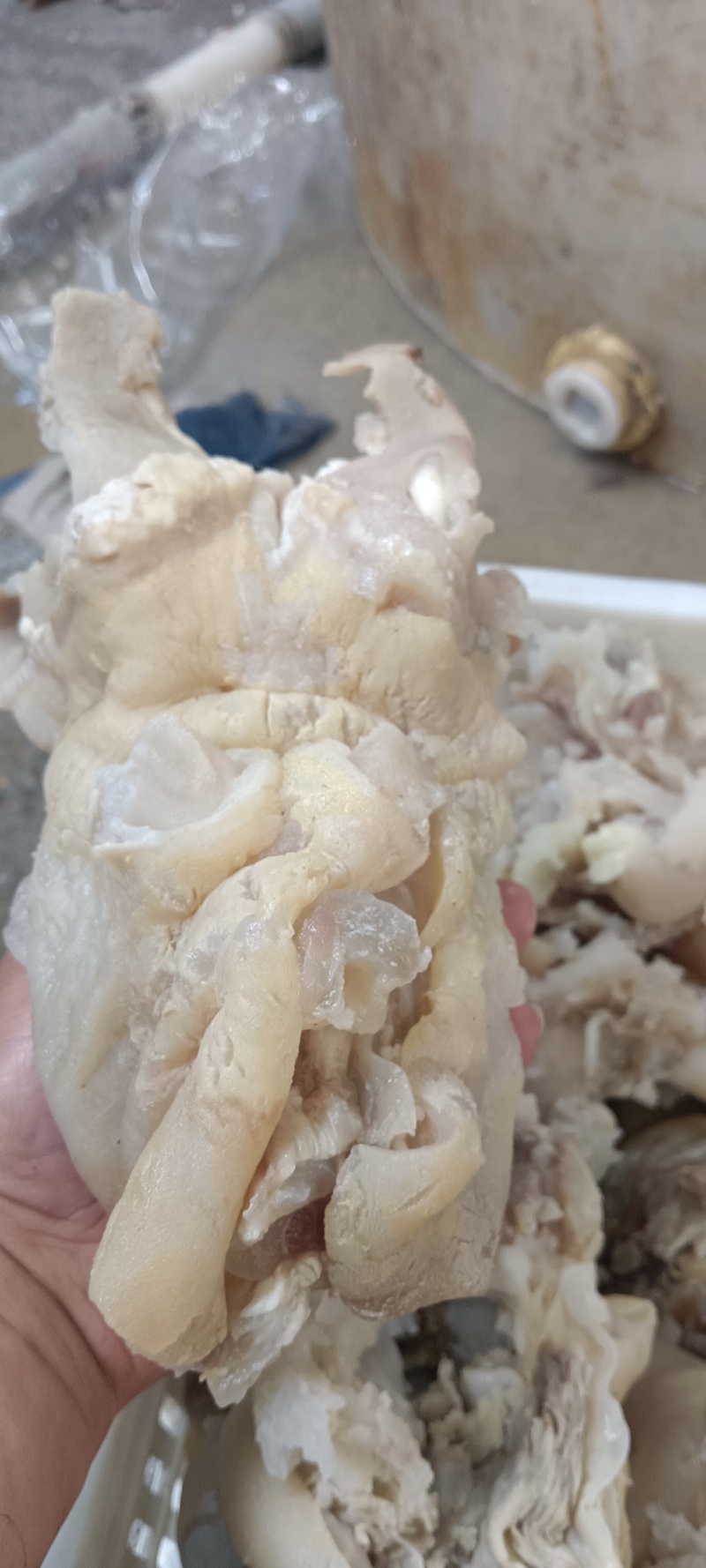 牛蹄筋，去骨带皮八成熟牛蹄筋，由于品相原因，现在碎筋价处