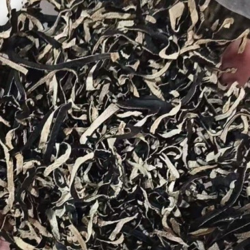头茬木耳丝火锅专用木耳丝毛木耳木耳螺蛳粉专用
