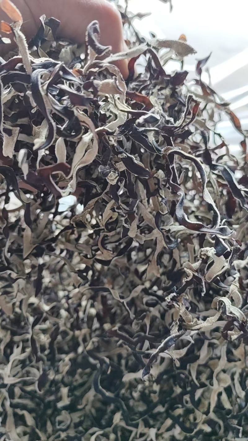 头茬木耳丝火锅专用木耳丝毛木耳木耳螺蛳粉专用