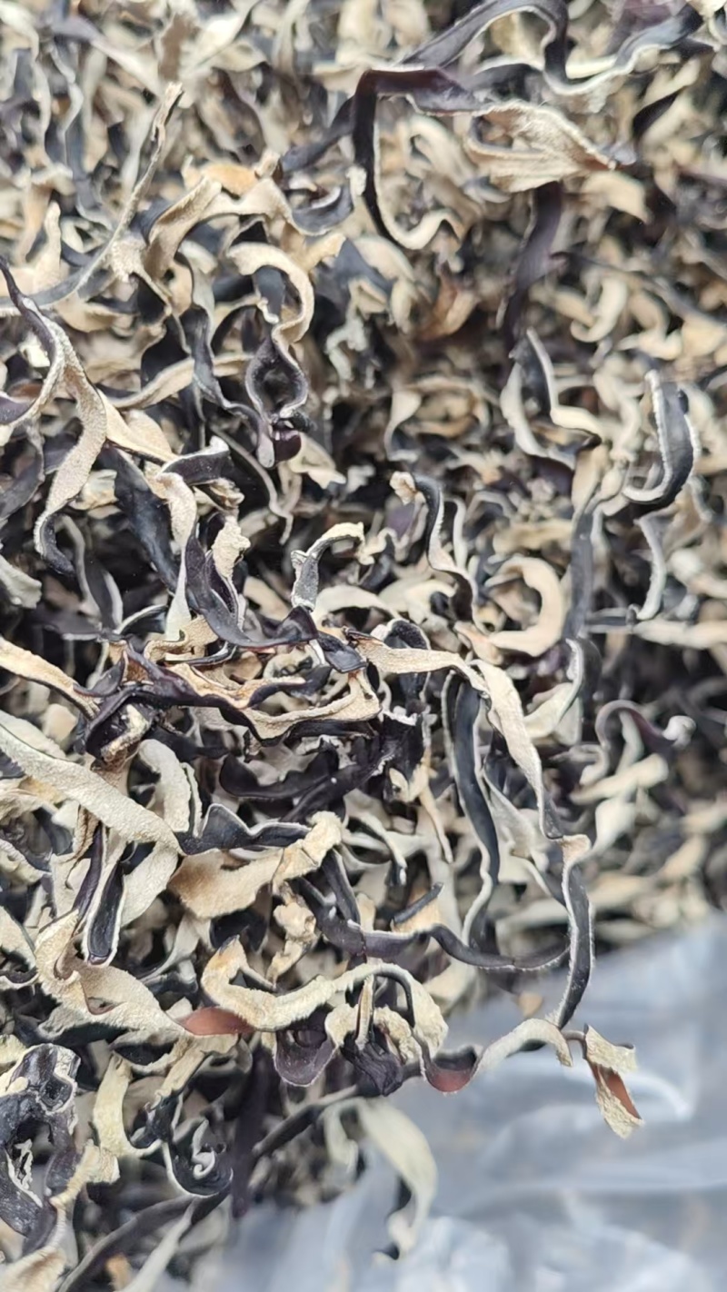 头茬木耳丝火锅专用木耳丝毛木耳木耳螺蛳粉专用
