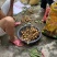 湛江龙眼，老树厚肉龙眼