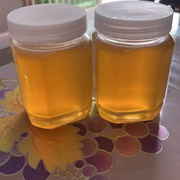 ***野生蜂蜜，自产自销