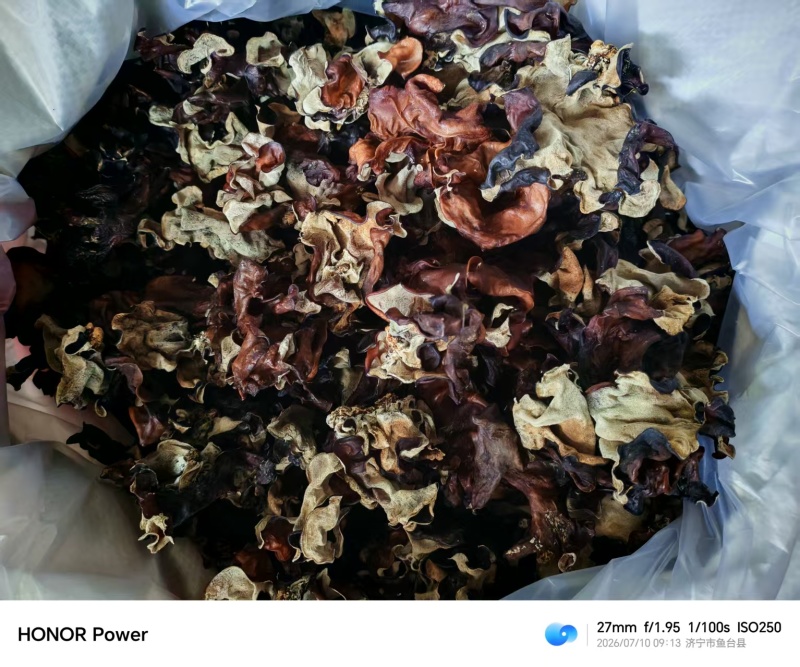 二茬毛木耳火锅专用木耳干货批发零售毛木耳二茬精品酒店专用