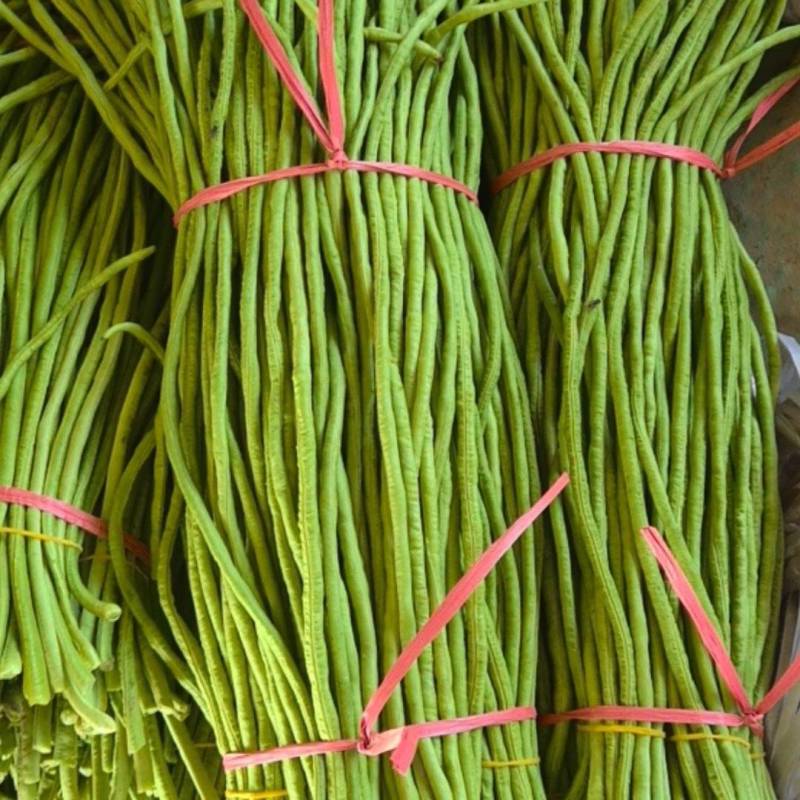 长豆角大量上市中