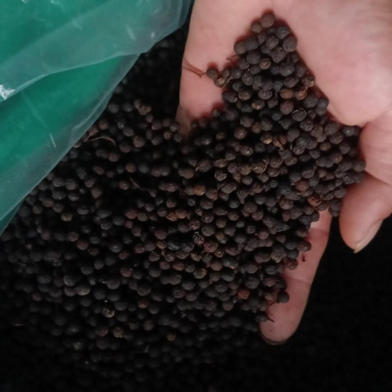木姜子过风过选