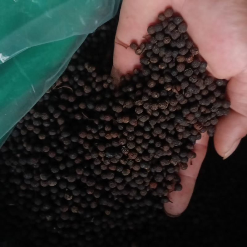 木姜子过风过选