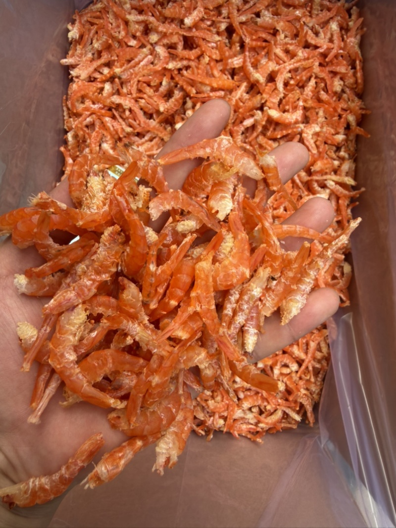 无盐直钩对虾米，活虾加工，保质保量，产地直供