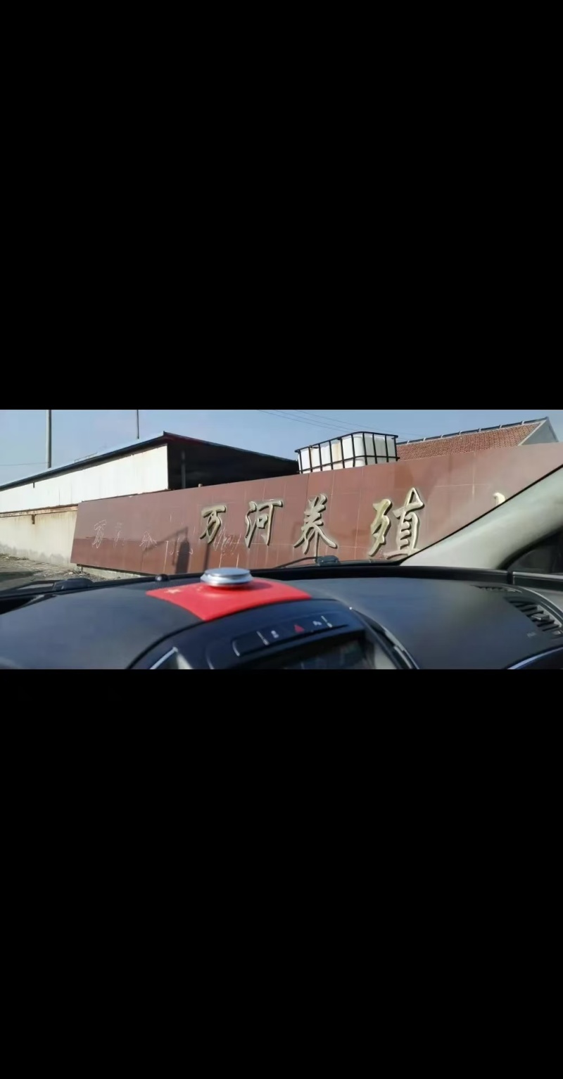 潍坊滨海虾仁