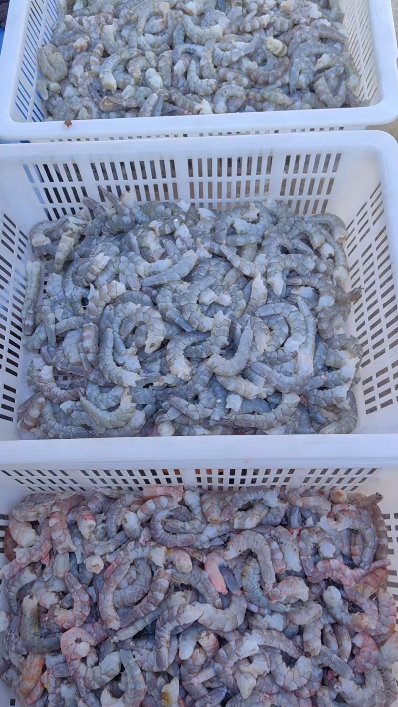 潍坊滨海虾仁