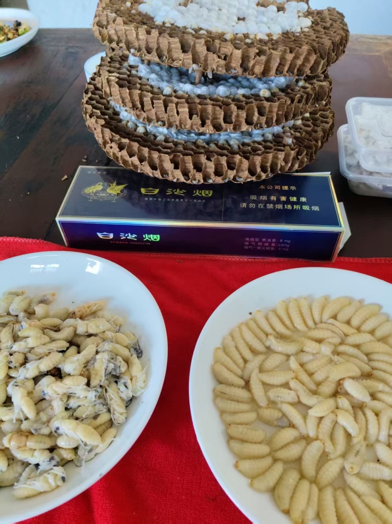 红娘马蜂