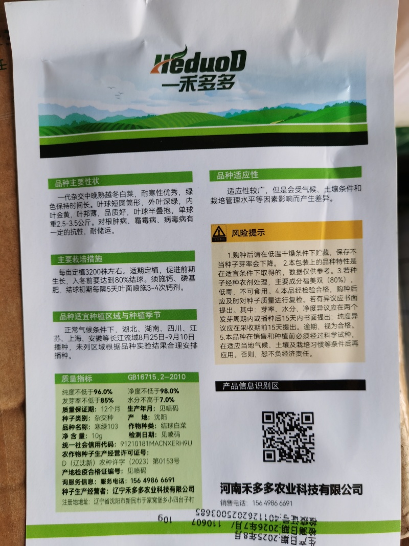 冬小胖寒绿103冬雅85冬宝矮颗越冬黄心白菜种子