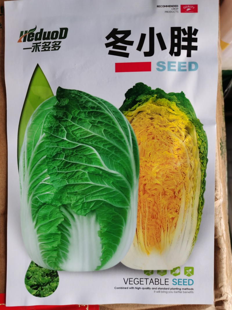 冬小胖寒绿103冬雅85冬宝矮颗越冬黄心白菜种子