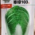 冬小胖寒绿103冬雅85冬宝矮颗越冬黄心白菜种子