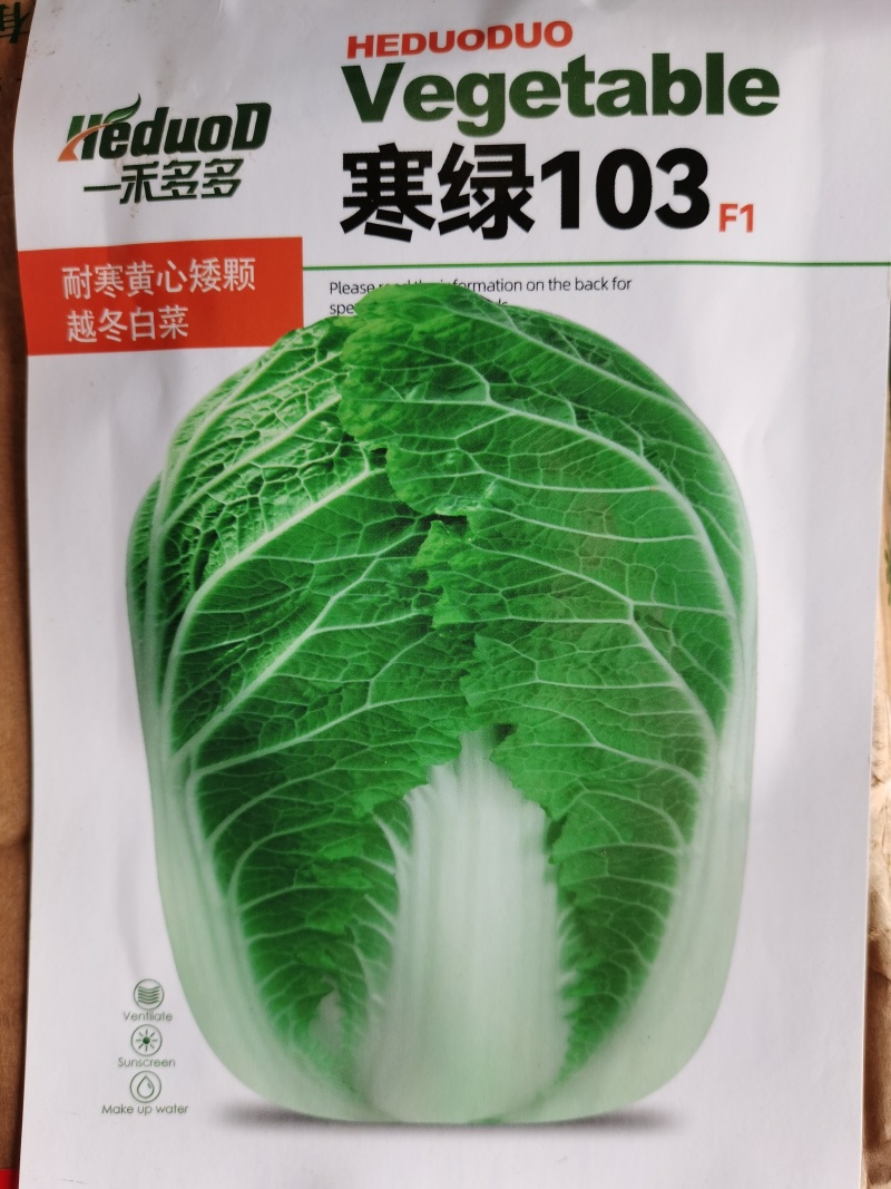 冬小胖寒绿103冬雅85冬宝矮颗越冬黄心白菜种子
