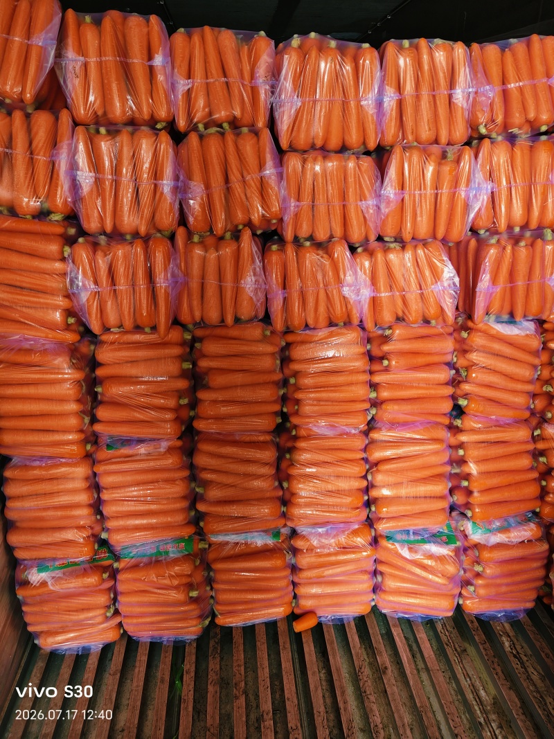 精品胡萝卜
