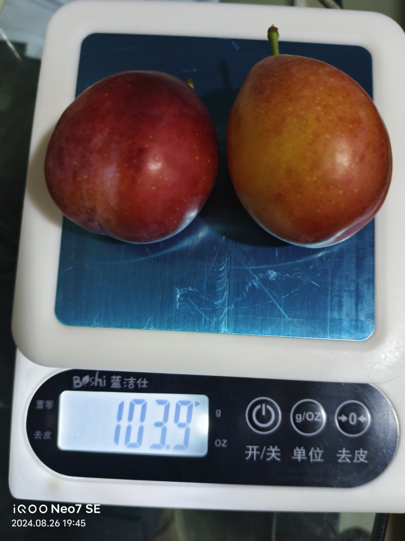 高海拔，无污染，无农药残留，光照时间长，甜度高，