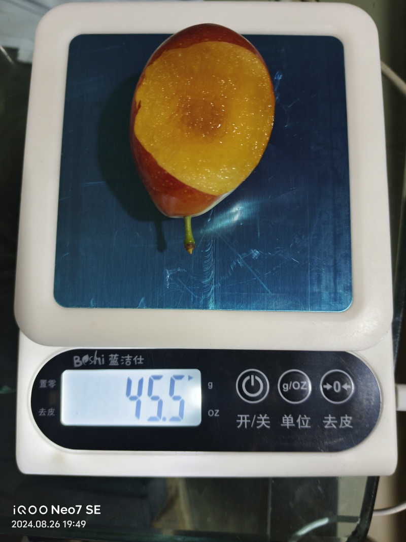 高海拔，无污染，无农药残留，光照时间长，甜度高，