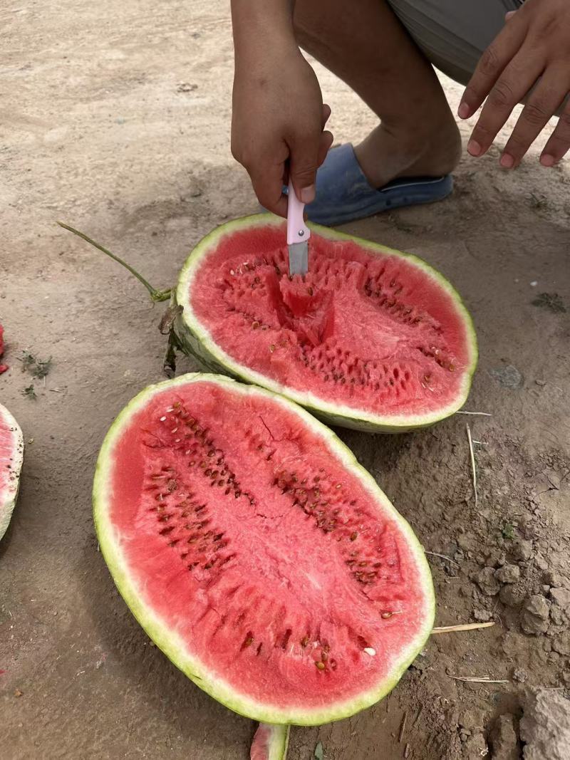 宁夏硒砂瓜，皮薄瓤红口感酥脆耐运输，的对接全国各大商品