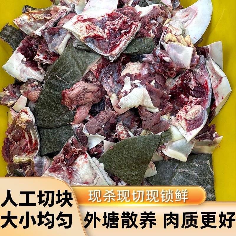 活杀新鲜甲鱼块