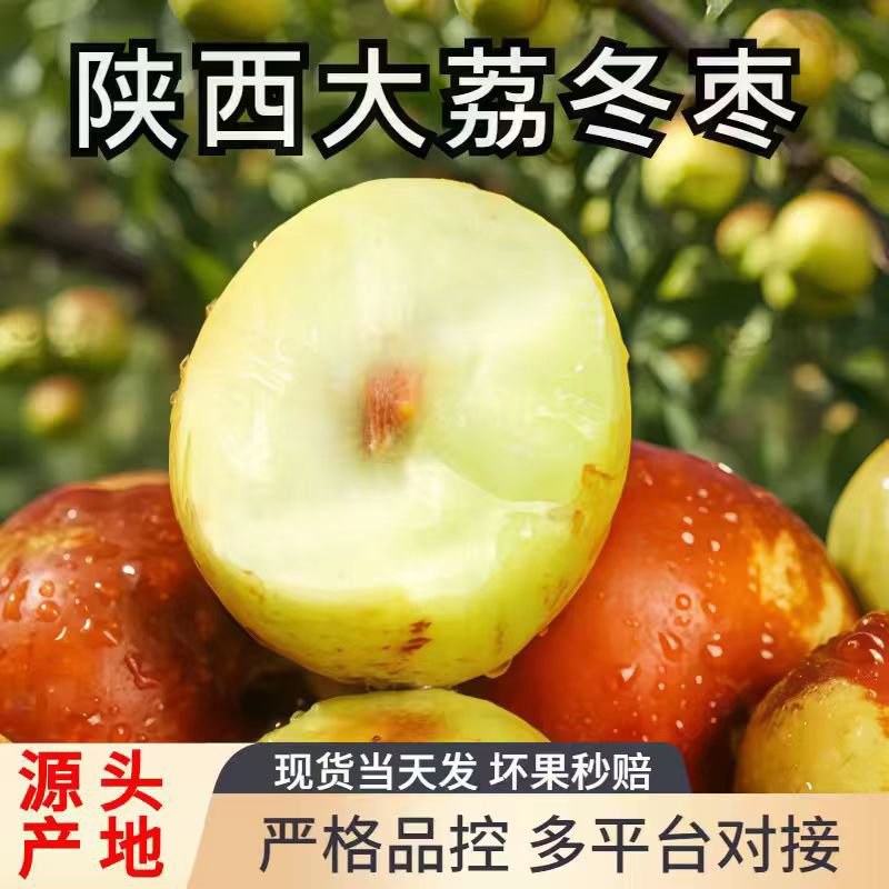 【电商社区团购】山东鲜枣大荔冬枣果园现摘来电优惠一件代发