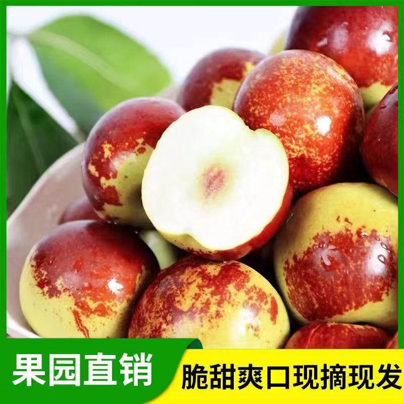 露天山东鲜冬枣基地代办直播带货抖音平台一件代发供应链
