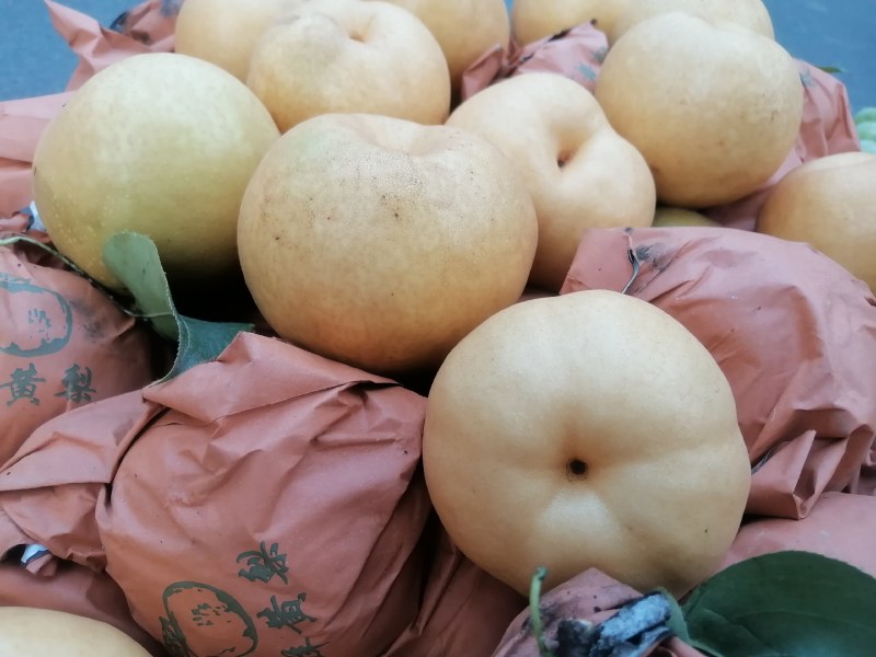 圆黄