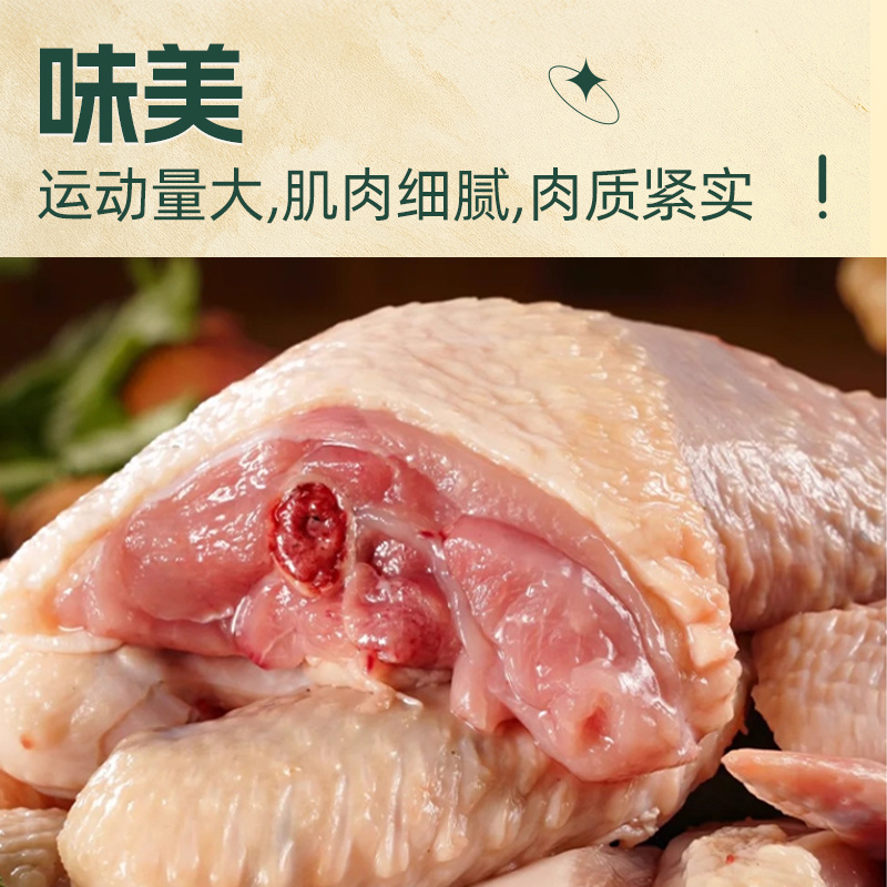 雀淘黄油老母鸡2到了-3斤新鲜鲜活宰杀冷冻速运