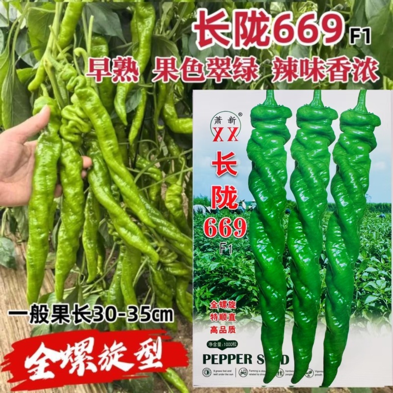 萧新长陇669螺丝椒种子早熟春秋高产羊角型陇椒种籽全螺旋