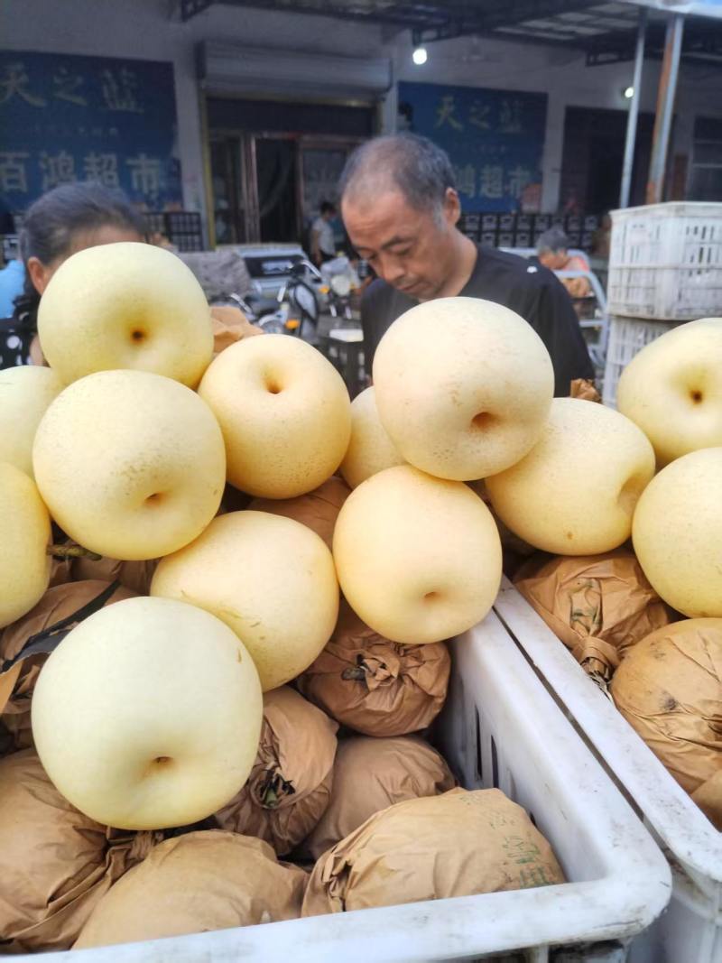 砀山县白皇冠，口感脆甜，非常细嫩，汁多全国代发，需要联系