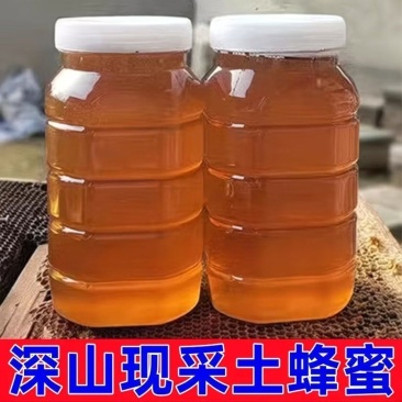 深山土蜂蜜，假一赔十