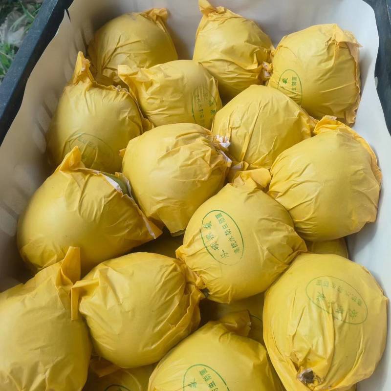 安微砀山，黄冠梨，翠玉，脆甜汁多肉厚园黄，保证质量需要联