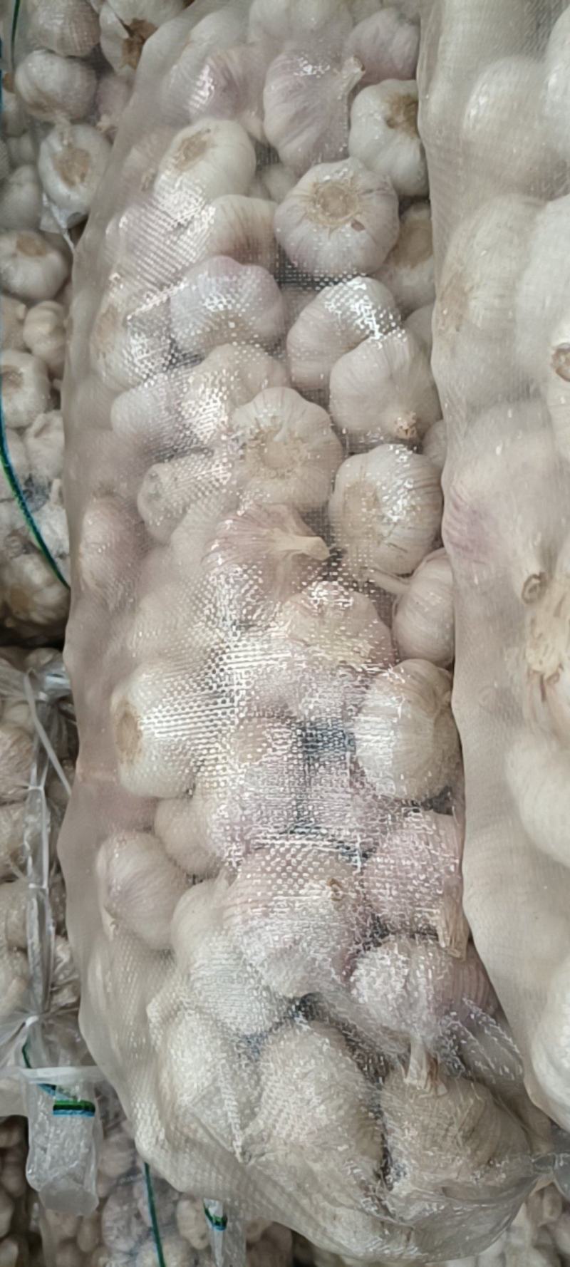 大蒜