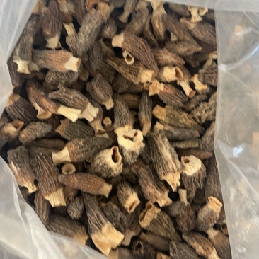特大羊肚菌，便宜甩了