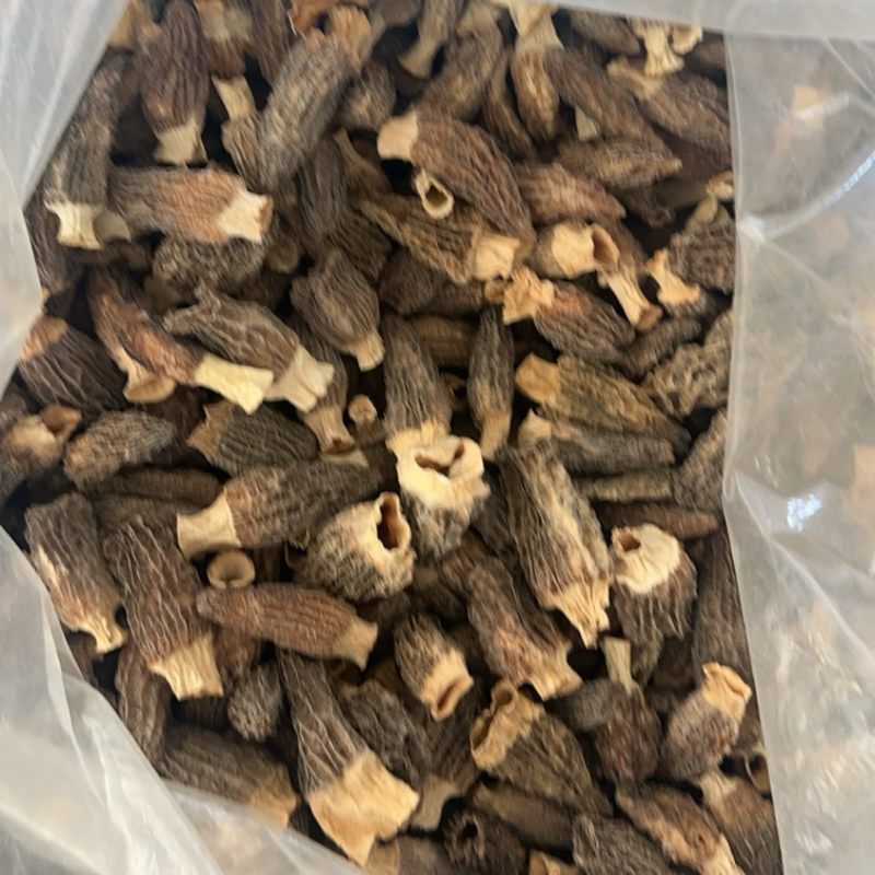 特大羊肚菌，便宜甩了