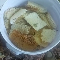 深山土蜂蜜