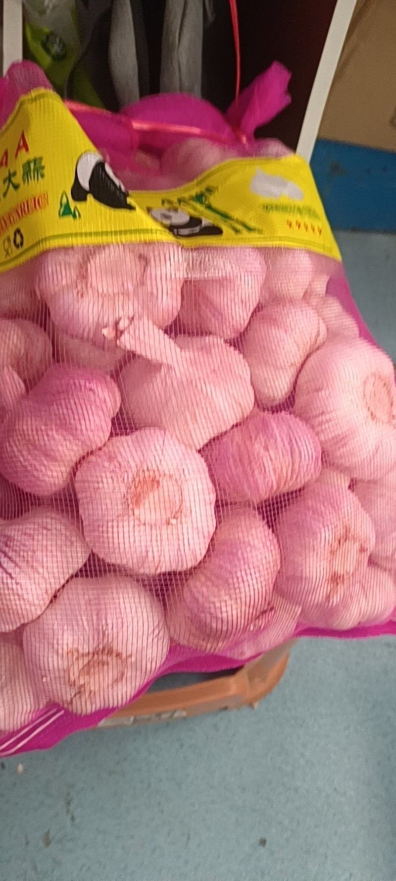 河北大蒜自家冷库随来随装粒粒饱满按要求分拣打包装车