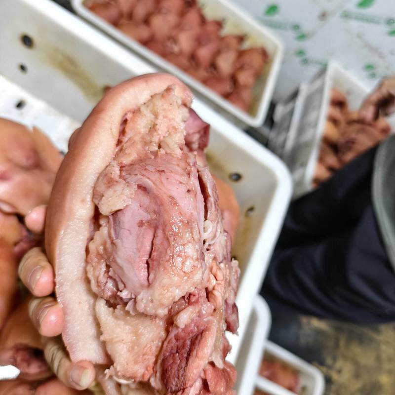 9分熟国产好头肉，猪头肉，自己厂加工的，辽宁沈阳每天加工
