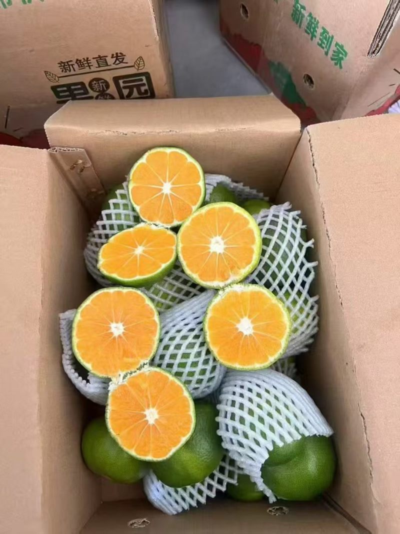 云南蜜橘电商团购一件代发