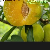 汶茂羌山蜂糖李，电商全平台一件代发，让你售后无忧