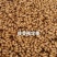 鲜活熟冻竹虫量大可谈