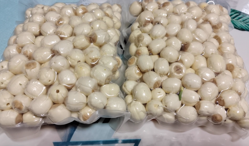 江西新鲜去心手工白莲，通心白莲一件代发，基地直供全国各地