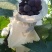 自家果园精品140葡萄批发🍇