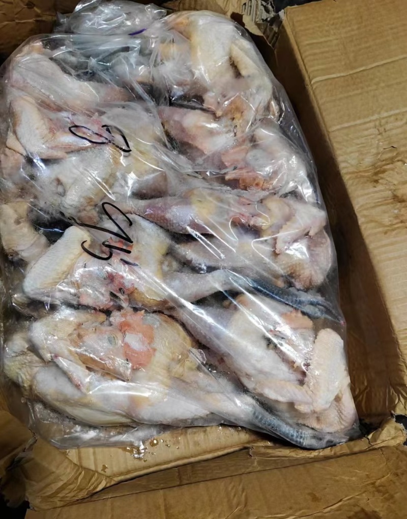笨公鸡黑爪公鸡质量好价格低