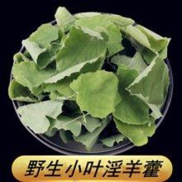 甘肃小叶淫羊藿