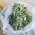 甘肃小叶淫羊藿