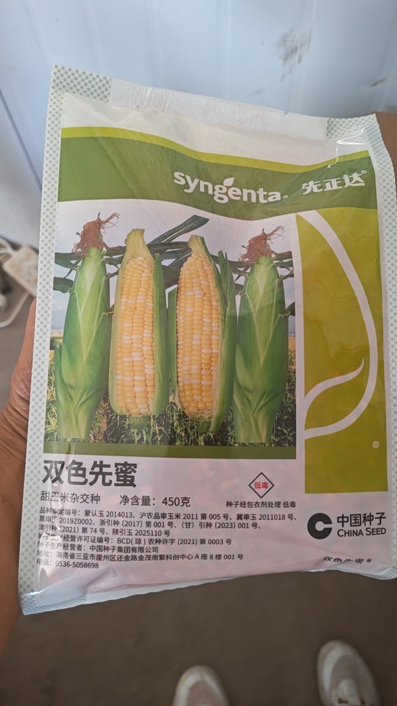 兰州白加黄双色水果玉米高原现摘产地直发鲜食甜玉米整车