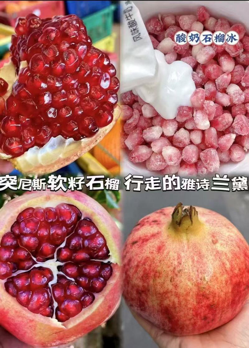 四川石榴产地直发会理突尼斯软籽石榴对接各个渠道
