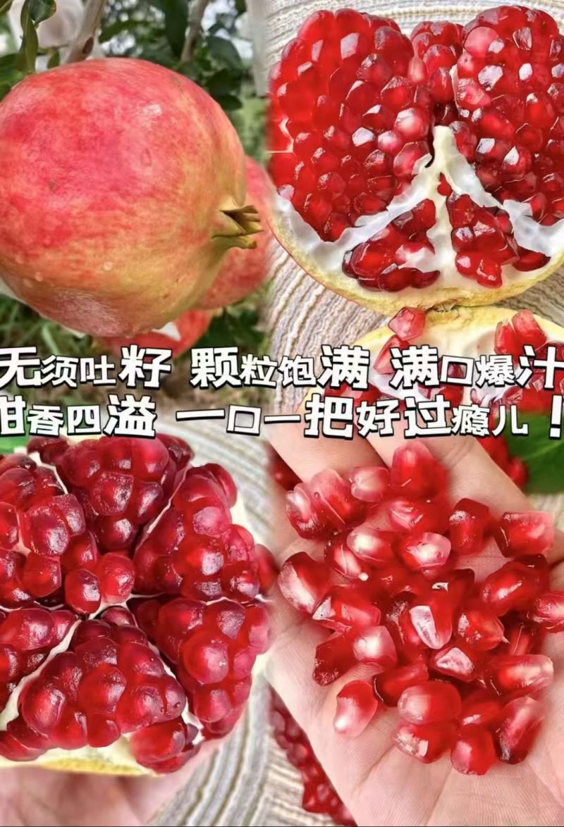 四川石榴产地直发会理突尼斯软籽石榴对接各个渠道